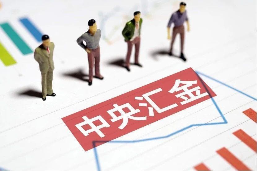 重磅！中国农再：控股股东将变更为中央汇金，财政部不再持股