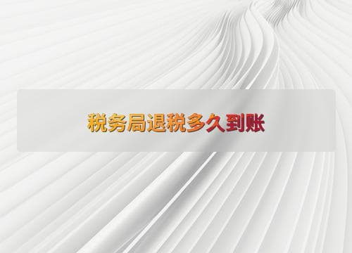 税务局退税多久到账？详解退税流程与影响因素