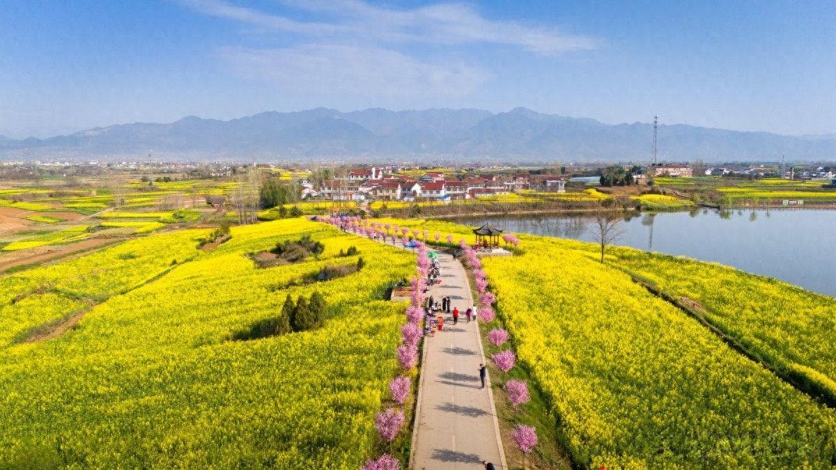 陕西必去十大景点有哪些(陕西风景区有哪些景点)