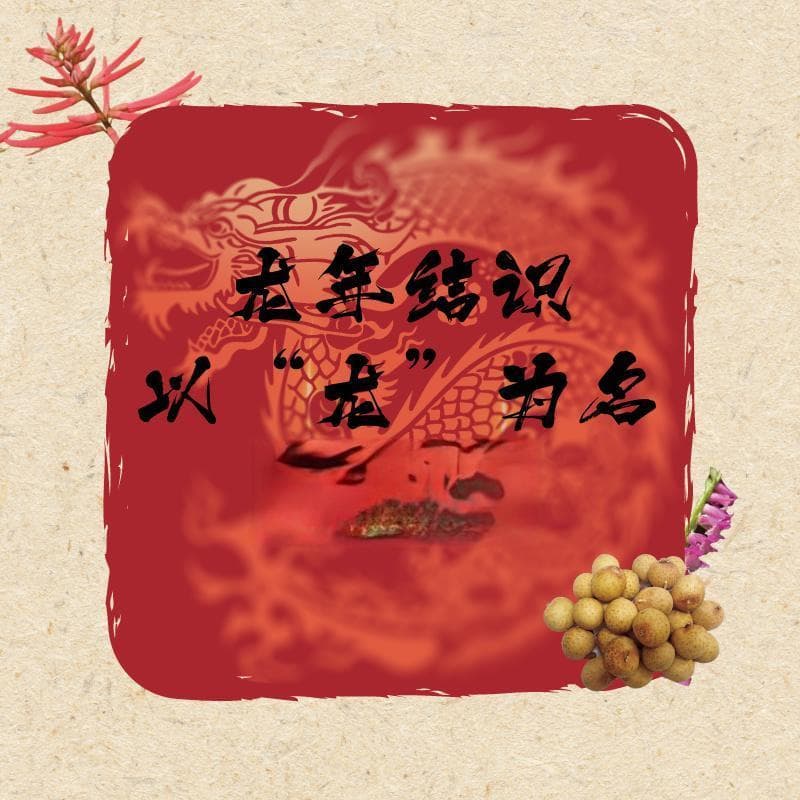 龙年结识以“龙”为名的植物