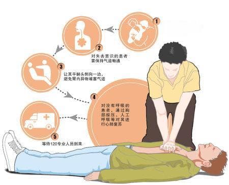 突发晕倒的家庭急救指南与应急处理措施