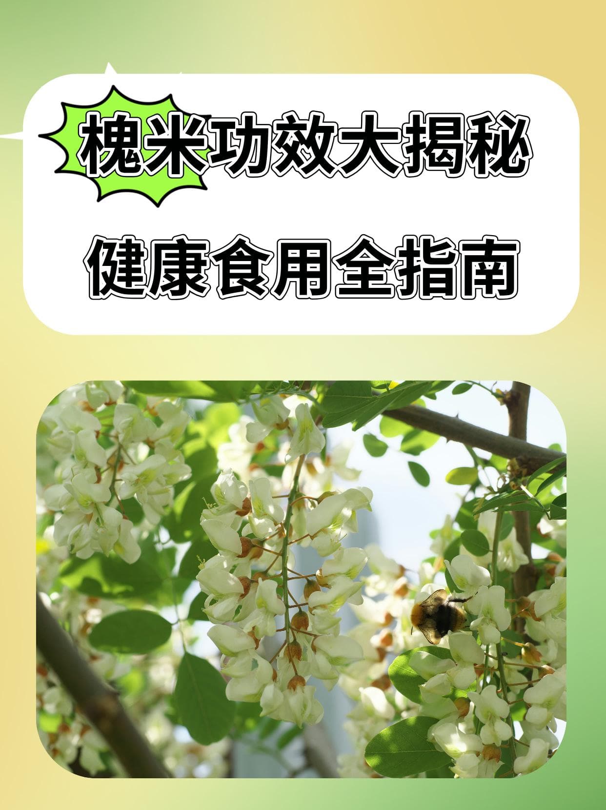 槐米功效大揭秘，健康食用全指南