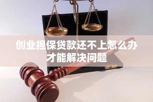 创业担保贷款还不上怎么办才能解决问题