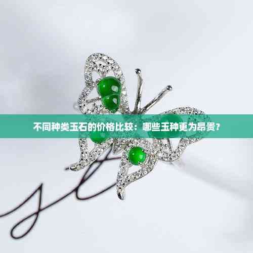 不同种类玉石的价格比较：哪些玉种更为昂贵？