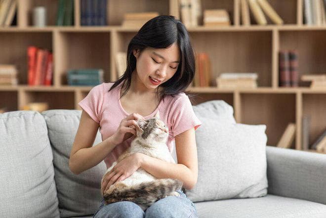 猫咪的十大禁忌食物