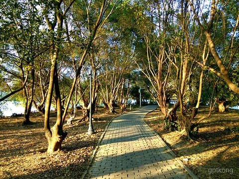 🌿蕉石岭森林公园：自然与休闲的完美交融