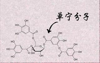 揭秘：单宁——这个神秘成分究竟是什么？