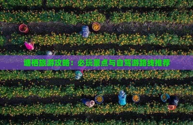 塘栖古镇旅游攻略：必玩景点与自驾游路线推荐