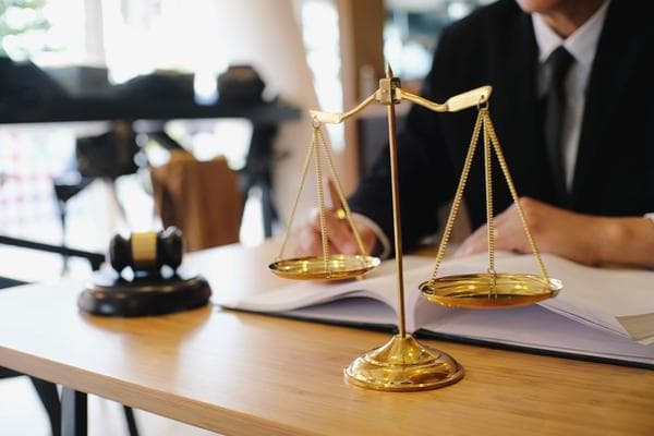 中国公司独立董事的规定与职责分析