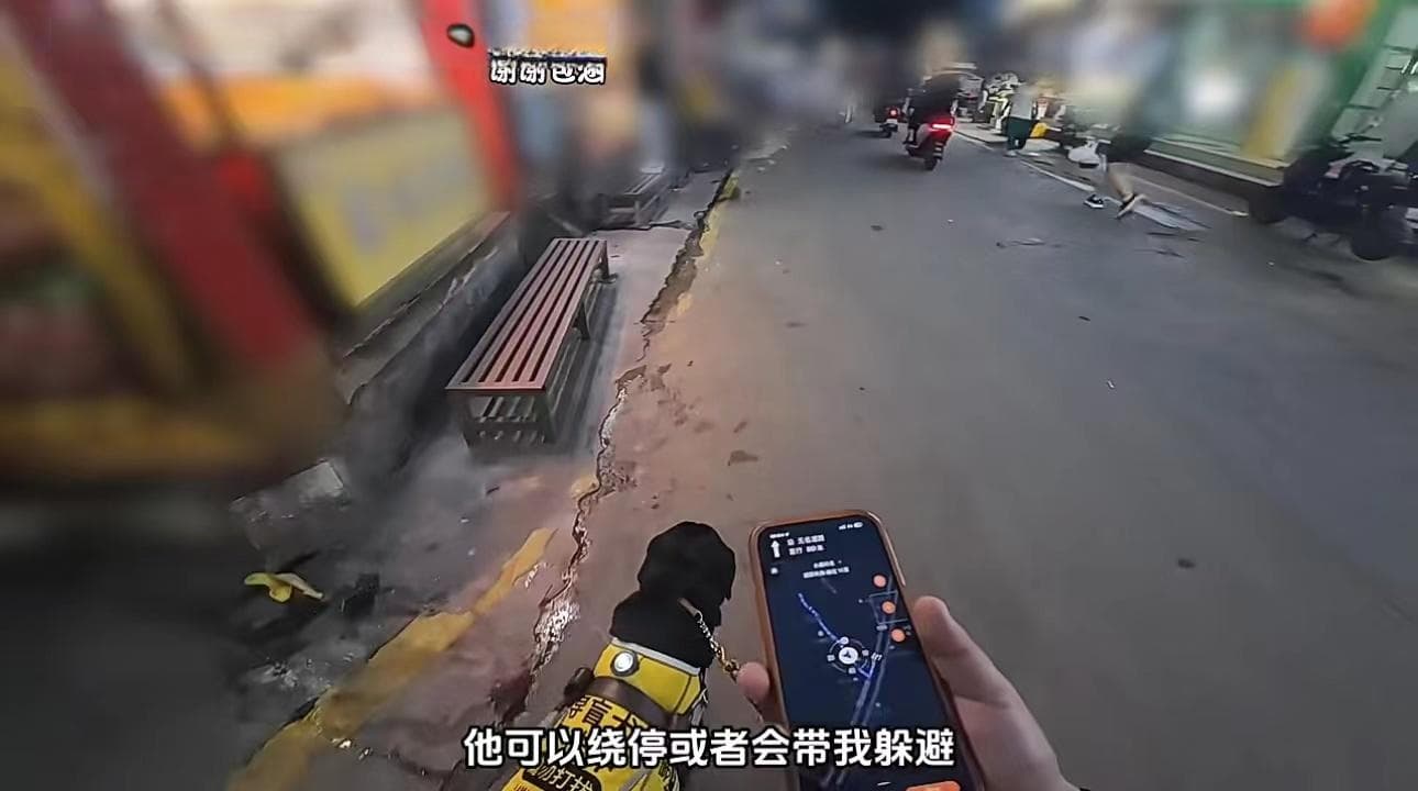 当一个普通人去养导盲犬
