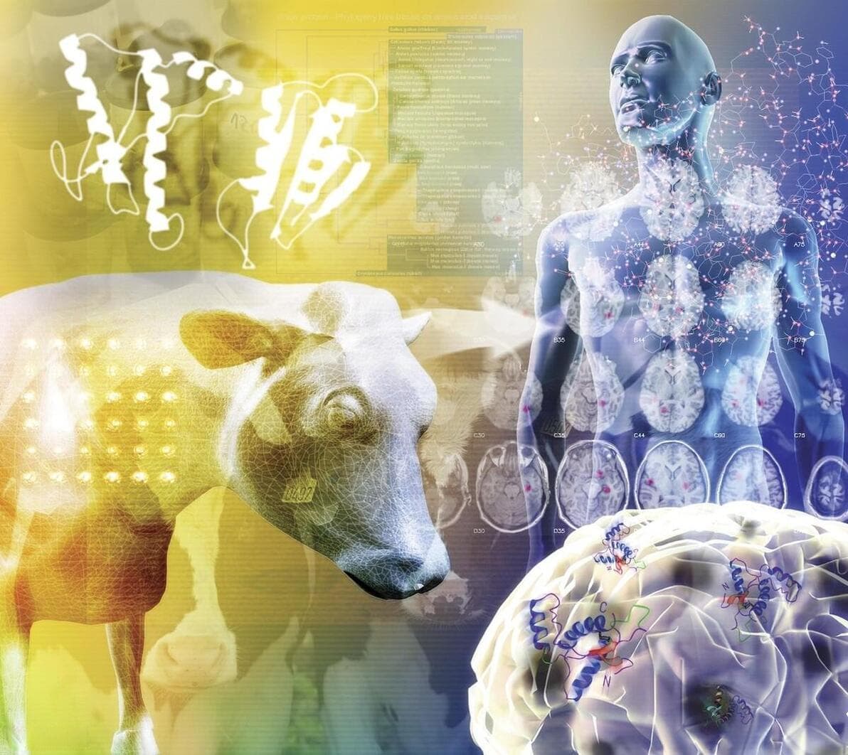 瘟疫公司官方场景：狂牛怪疫——天灾通关（科普向）