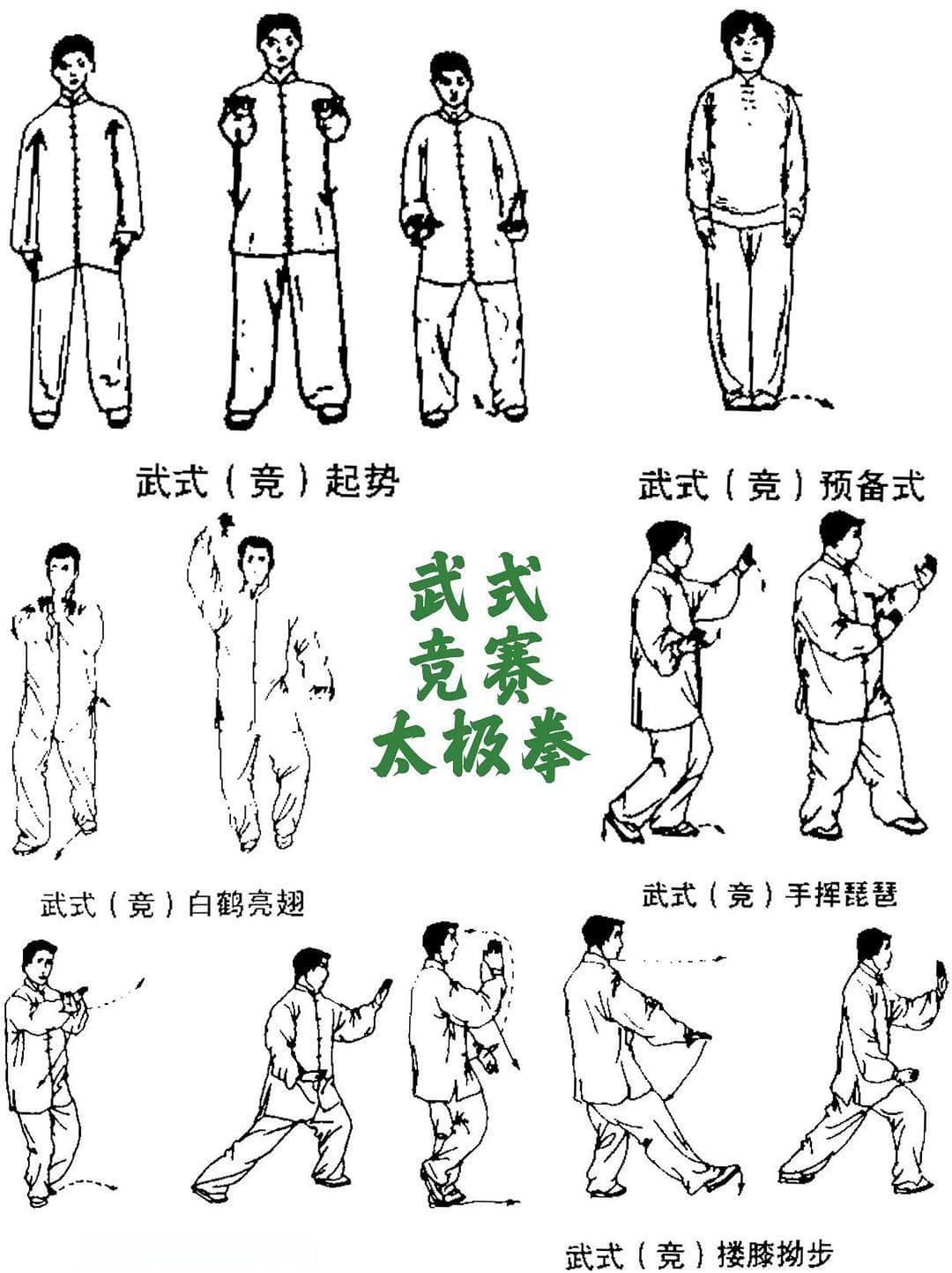 和谐之美与阴阳平衡：太极拳的文化内涵