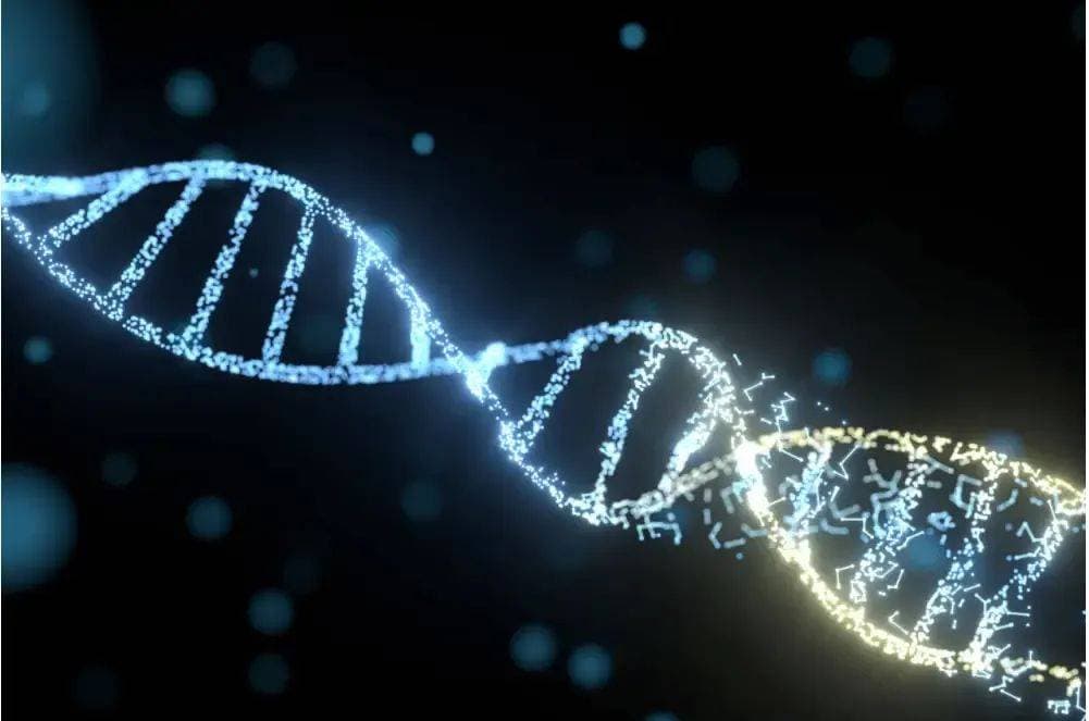 神秘现象揭秘：夺舍真的存在？脊髓移植的意外发现让人震惊！
