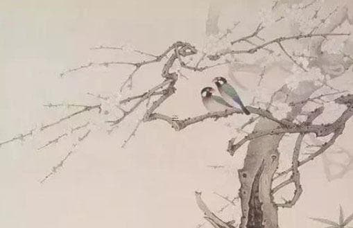 哪种玛瑙颜色最昂贵？玛瑙不同颜色的价值差异解析