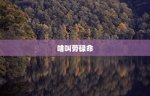 啥叫劳碌命