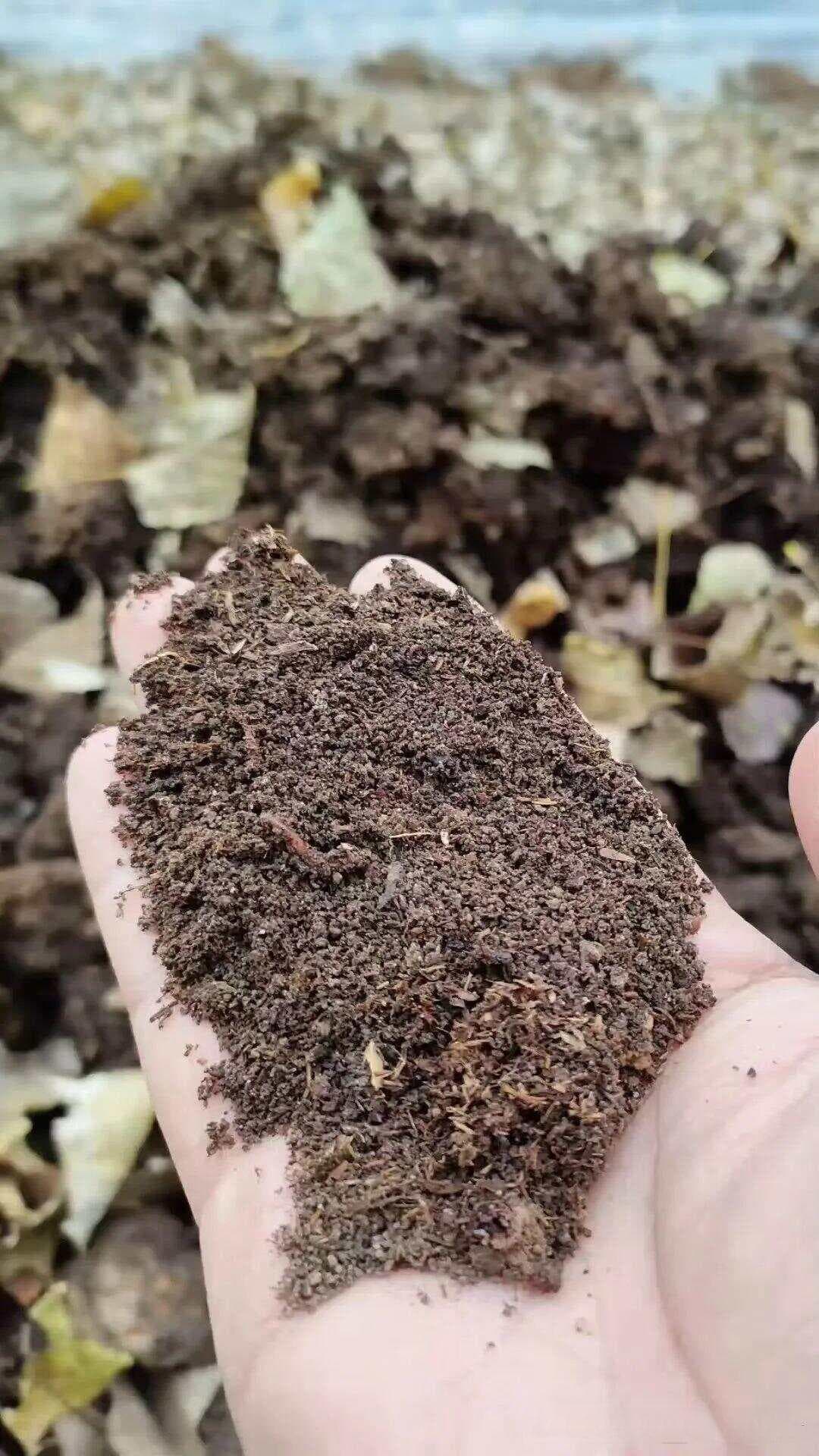 这5种"天然土壤改良剂"，比化肥厉害，土壤松软如蛋糕，植物蹭蹭疯长
