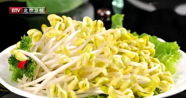 豆芽立大功，36小时就能清除50%的肠道“垃圾”？再也不小看它了