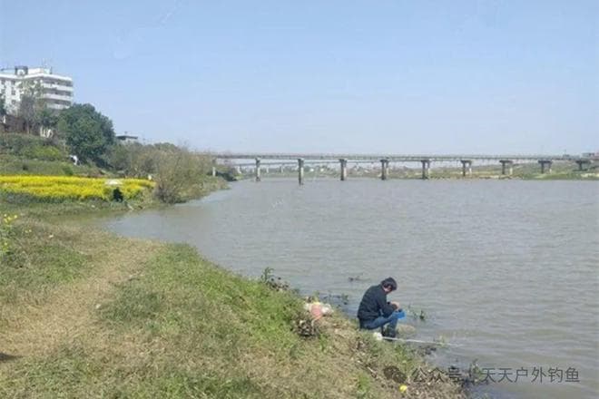 春季野钓大鱼，抓住这4个时机，爆护变得很轻松