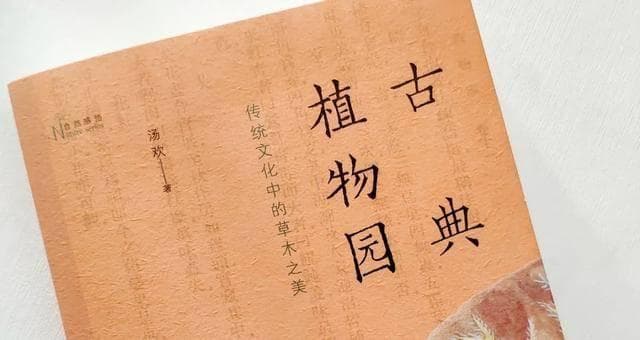 千载琵琶作胡语：探寻古代音乐文化的交融与传承