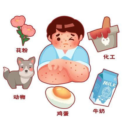 呼吸道过敏与食物过敏：究竟存在怎样的内在关联？