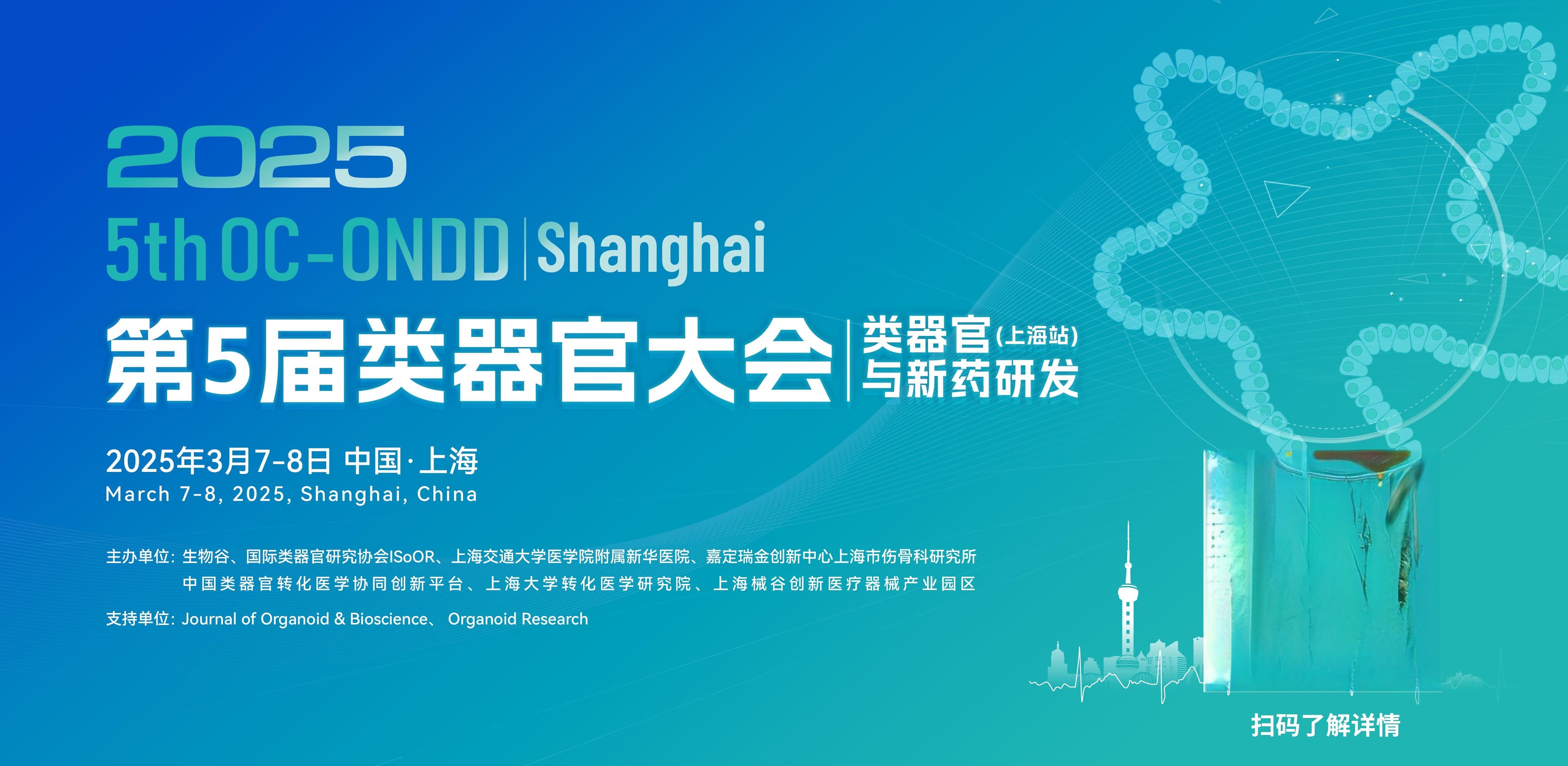 肝脏类器官研究重大突破！Adv Sci：预血管化肝胆类器官为再生医学注入新活力