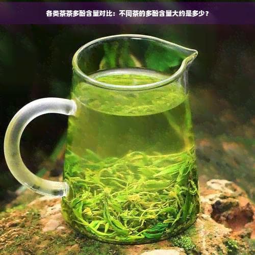各类茶茶多酚含量对比：不同茶的多酚含量大约是多少？