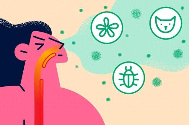 科普｜过敏：身体的"小叛逆"