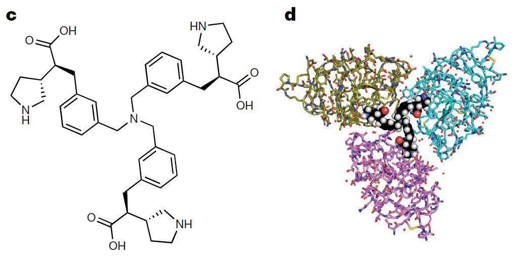 Nature里程碑：礼来揭秘首款降低Lp(a)水平小分子药物，已进入II期临床