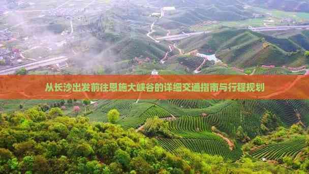从长沙出发前往恩施大峡谷的详细交通指南与行程规划