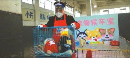 坐高铁可以带宠物吗？