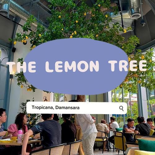 treetree的梗（treetree梗解析：热门网络用语揭秘！）