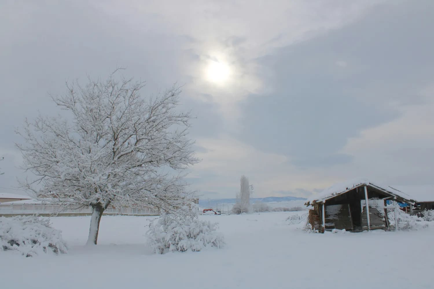 冬游牡丹江：雪乡赏雪、镜泊湖观瀑、虎园观虎全攻略