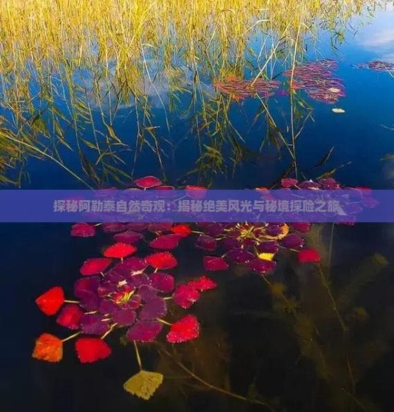 探秘阿勒泰自然奇观：揭秘绝美风光与秘境探险之旅