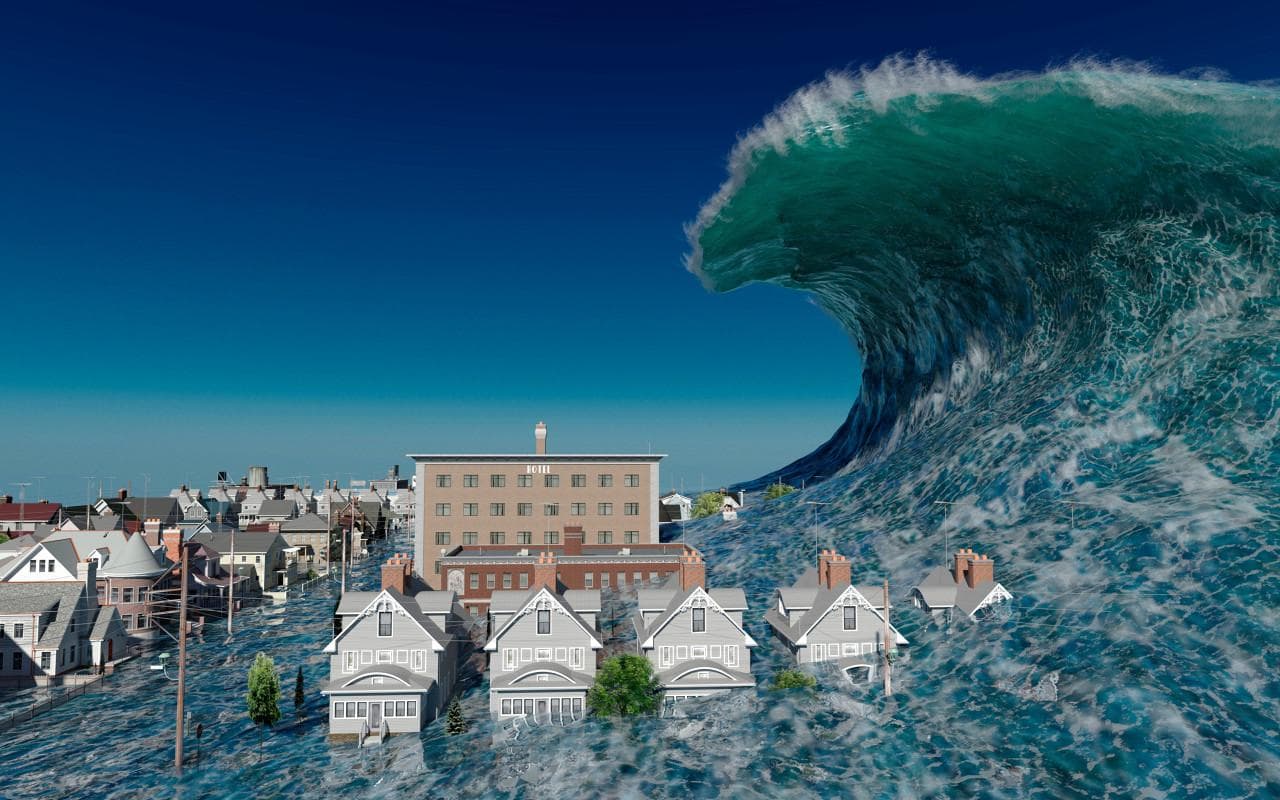 世界海啸意识日｜如何应对大海的“暴脾气”？