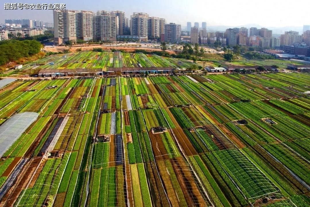 “深圳农场”8大商业模式分析：如何跳出农业做农业