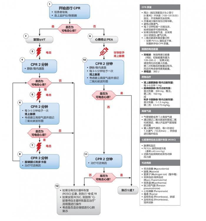 权威发布：25种急症急救流程图，建议收藏