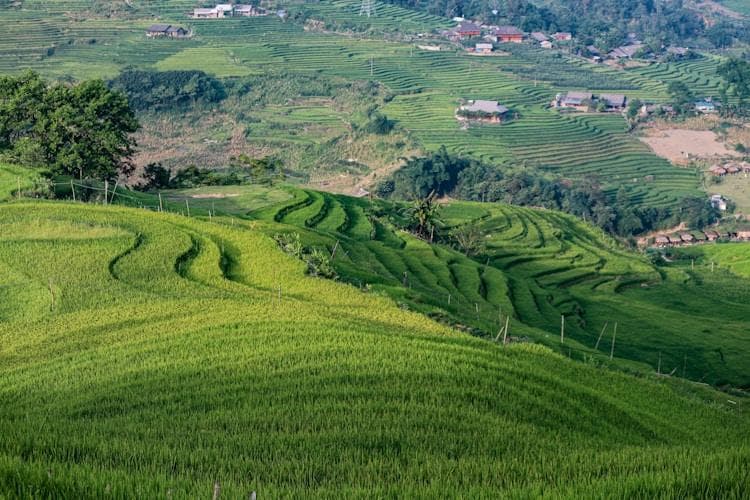 美国乡村旅游典型案例：从纳帕谷到桃树城的产业振兴之路
