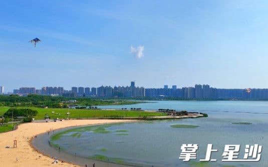 国际生物多样性日｜松雅湖国家湿地公园共有植物216种、脊椎动物117种