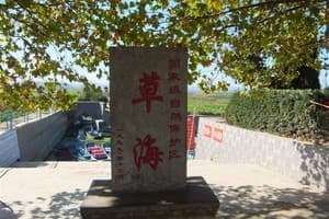贵州威宁草海：中国第二大迁徙鸟类乐园