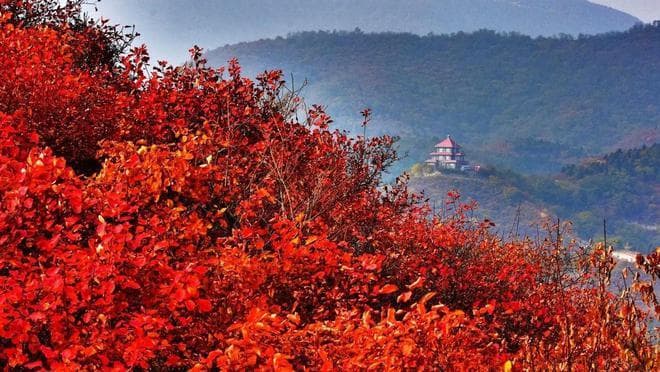 北京十大爬山胜地全揭秘，发现京城四季山水风情！