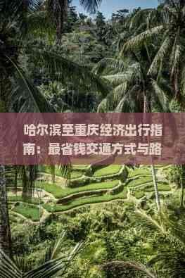 哈尔滨至重庆经济出行指南：最省钱交通方式与路线全解析