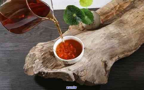 普洱茶泡制与品鉴全攻略：从入门到精通