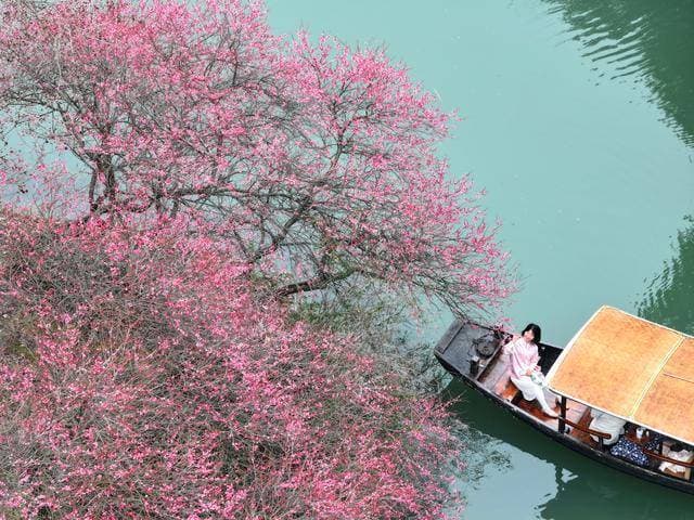 祖国各地：诗意正月（图）
