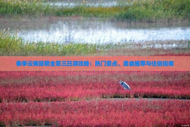 春季云南昆明全景三日游攻略：热门景点、美食推荐与住宿指南