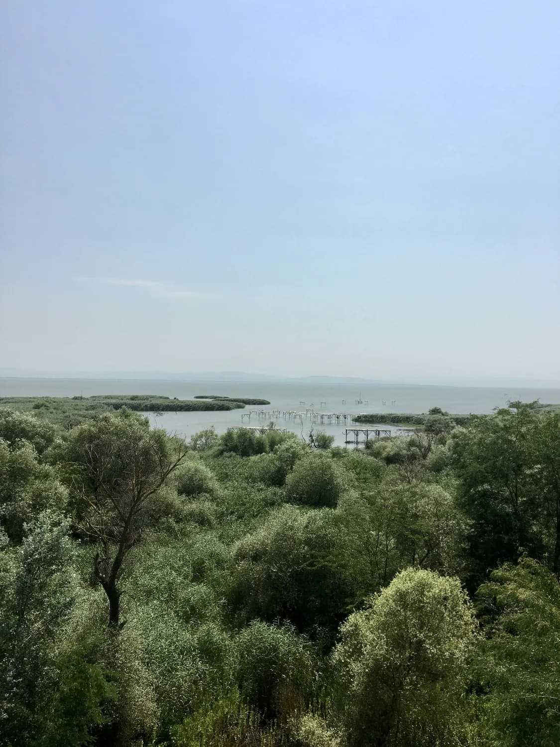 青岛胶州湾湿地公园：160种鸟类栖息地，融合千年古刹文化