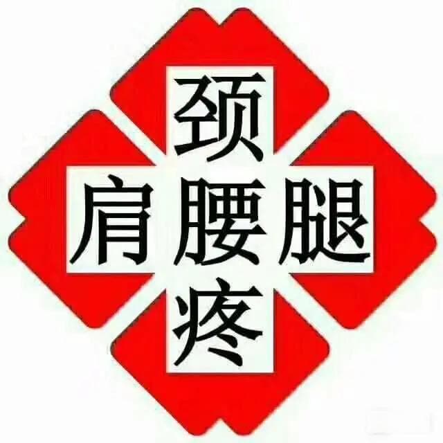 脊神经解剖：结构、分布与功能详解