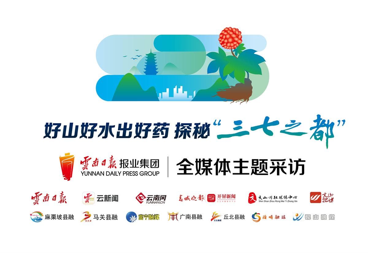 好山好水出好药丨如何种出好药材？三七地里有“科技”