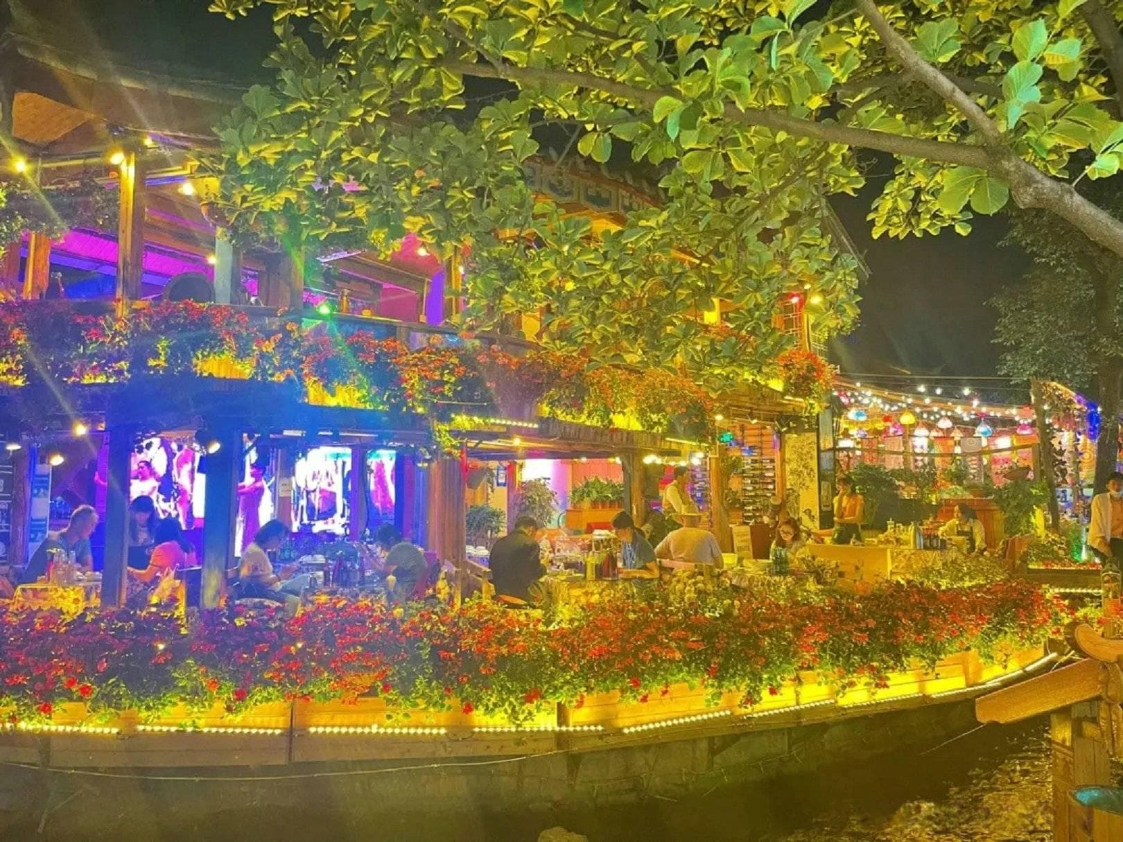 云南西双版纳六日游攻略：老年人专属优惠与行程推荐