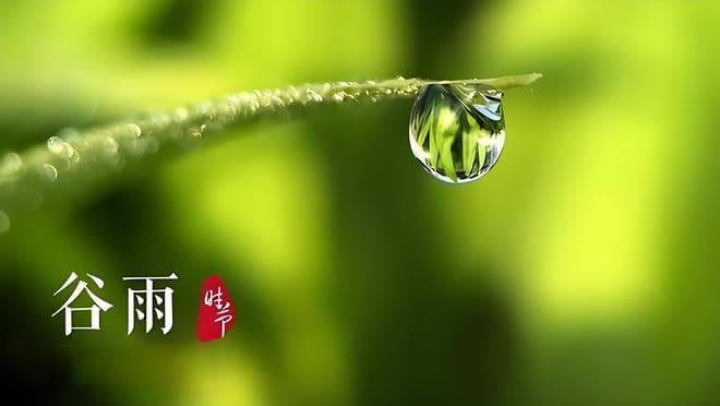 谷雨：7首高级古诗词，去惊艳朋友圈吧