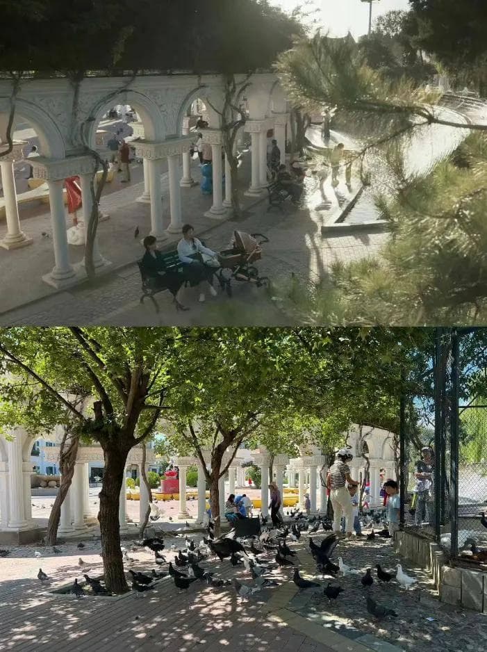 难怪这么眼熟？！“玫瑰的故事”带火通州这几处取景地，快跟着“神仙姐姐”打卡……